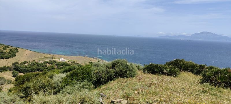 Foto 862ba6c8-1a42-4096-8951-d9ff720a49c9. Finca rústica a El Cuartón - El Bujeo Tarifa