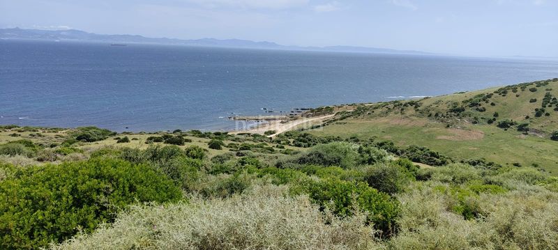 Foto a5d5f38d-f787-48a9-885e-a8054f82c967. Finca rústica a El Cuartón - El Bujeo Tarifa