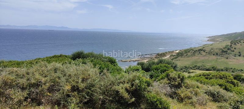 Foto ca8f9166-4b1f-4fde-8689-923e769d83a6. Finca rústica a El Cuartón - El Bujeo Tarifa