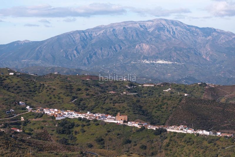 Foto b576b83a-7b89-4b65-9606-f7d5a25c39a0. Finca rústica a Macharaviaya