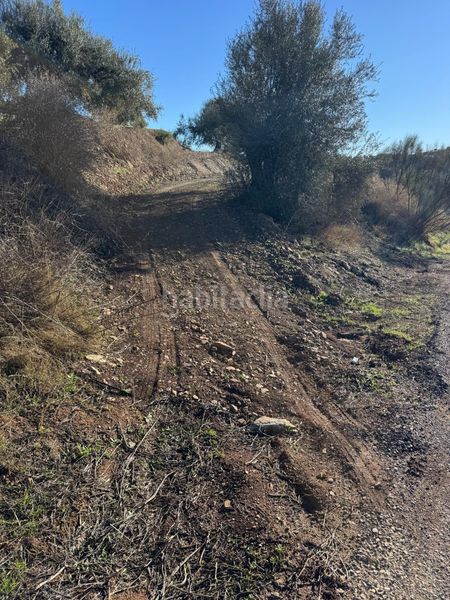 Foto 4eeaeb28-2b1c-40a4-8b81-d3c7204915a7. Landgut in Comares