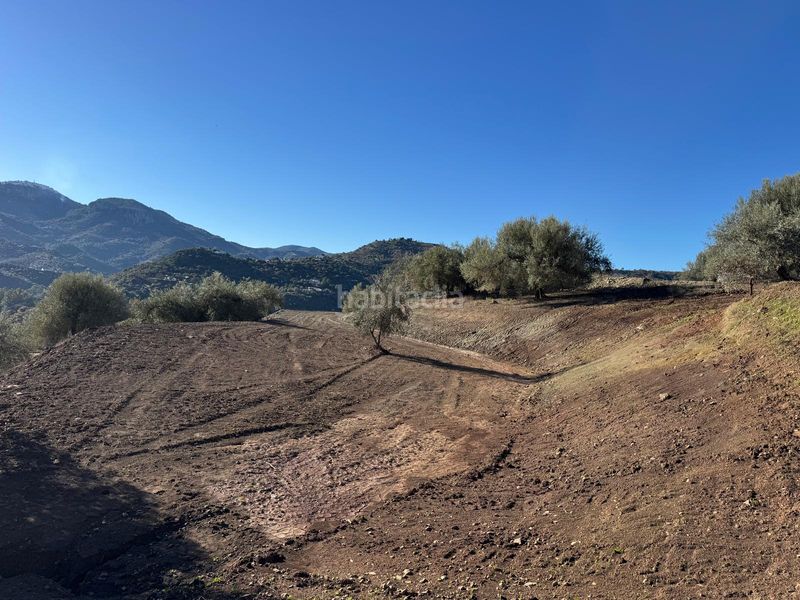 Foto a00bd3a5-dd81-479f-8c96-0d323b4e1f3a. Landgut in Comares