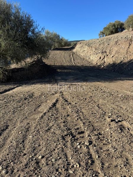 Foto d6fe3871-5265-4568-9ce7-d41f9870345d. Landgut in Comares