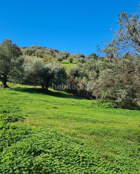 Foto 3a30d908-90fa-4374-ab05-dd6c361073aa. Finca rústica a Álora
