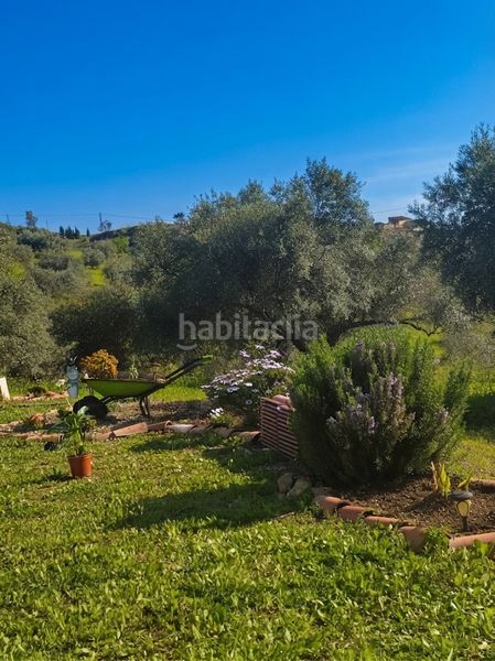 Foto 43280968-7c79-4c67-ae7e-b4bc2c736544. Finca rústica a Álora