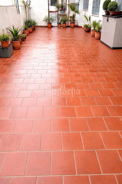 Foto 46922516-8eba-4197-9150-404c8522996a. Pis a Parque Victoria Eugenia Málaga