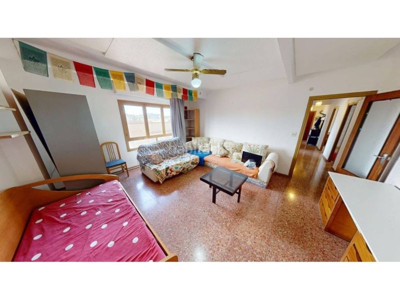 Foto c620a1a6-0c3f-4b84-8516-281a845ebc51. Pis a Monforte del Cid