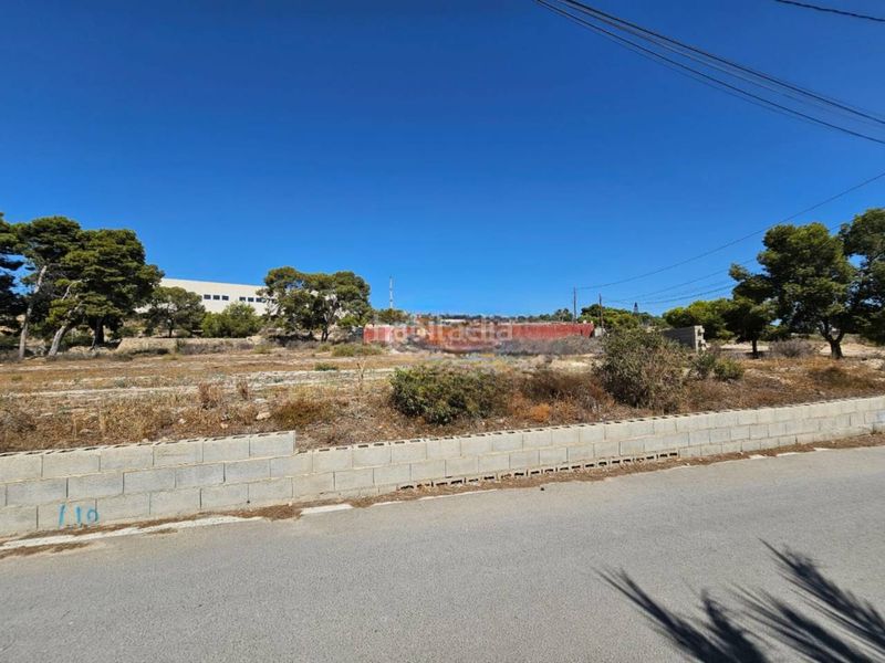 Foto 03b7e95c-ddae-49a5-8277-b494b357e37c. Finca rústica a Santa Faz Alicante