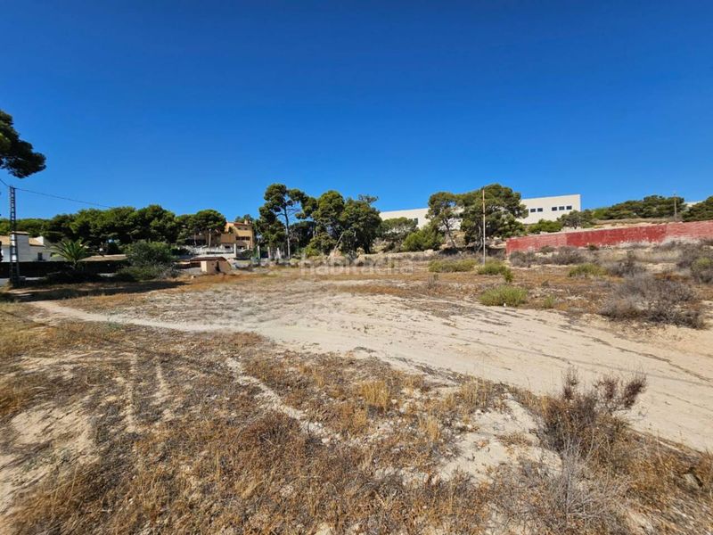 Foto 543aab43-d986-46a6-b54a-a782e67e86f8. Finca rústica a Santa Faz Alicante