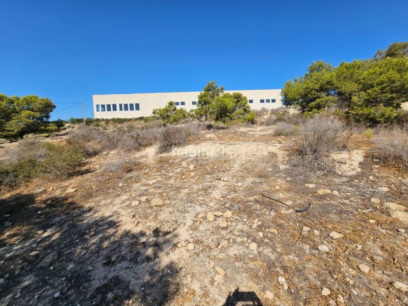 Foto 5e37262d-b001-4d7d-8dc8-4795a3584973. Finca rústica a Santa Faz Alicante