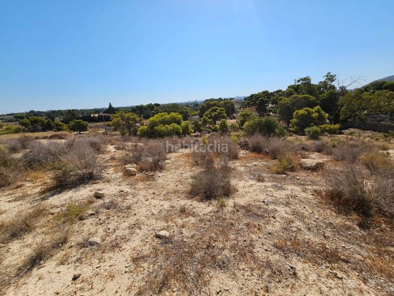 Foto 67aa729d-fb2a-4089-ade5-f873eb623647. Finca rústica a Santa Faz Alicante
