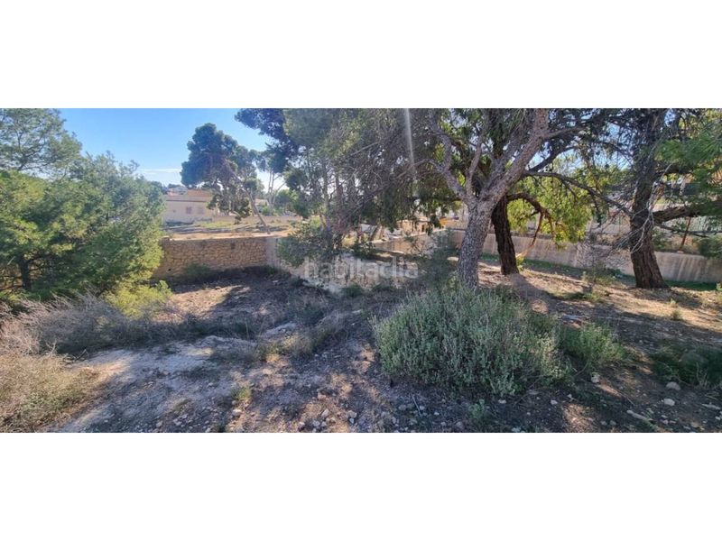 Foto 7d74c877-c90c-4daf-9e0a-c07f3cd46031. Finca rústica a Santa Faz Alicante