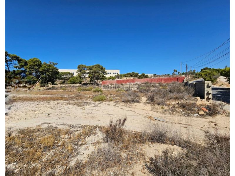 Foto 86541776-d9b6-4c76-96a5-dac741b451d6. Finca rústica a Santa Faz Alicante