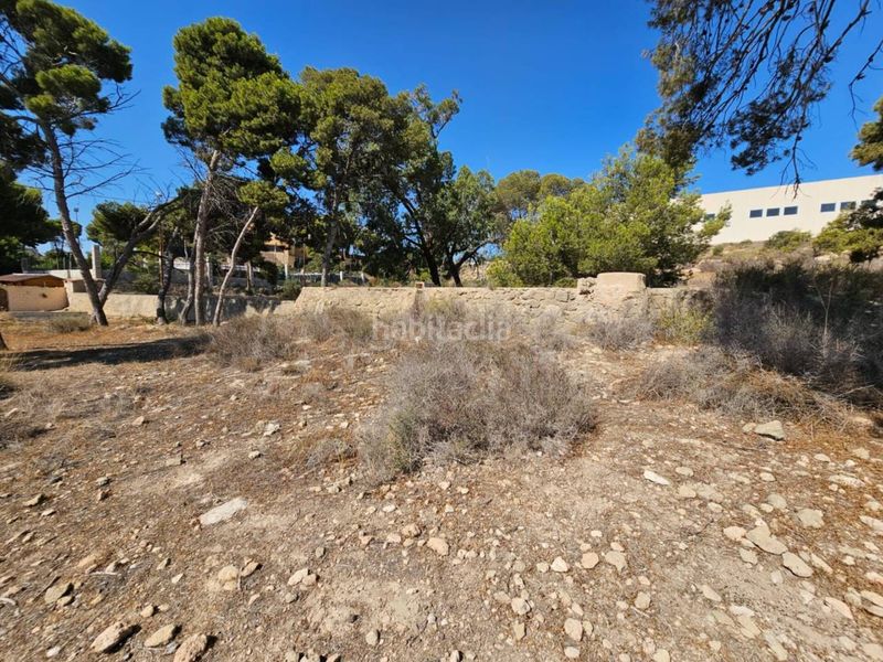 Foto abd99b36-465f-4b09-8cf4-c7fae128bf12. Finca rústica a Santa Faz Alicante
