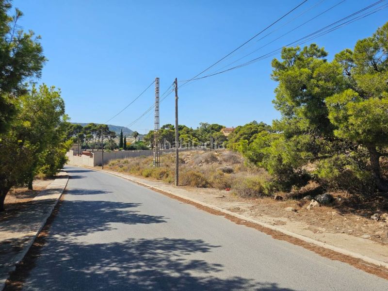 Foto cb6c4c42-e875-42e1-9072-6a77e15c24cf. Finca rústica a Santa Faz Alicante
