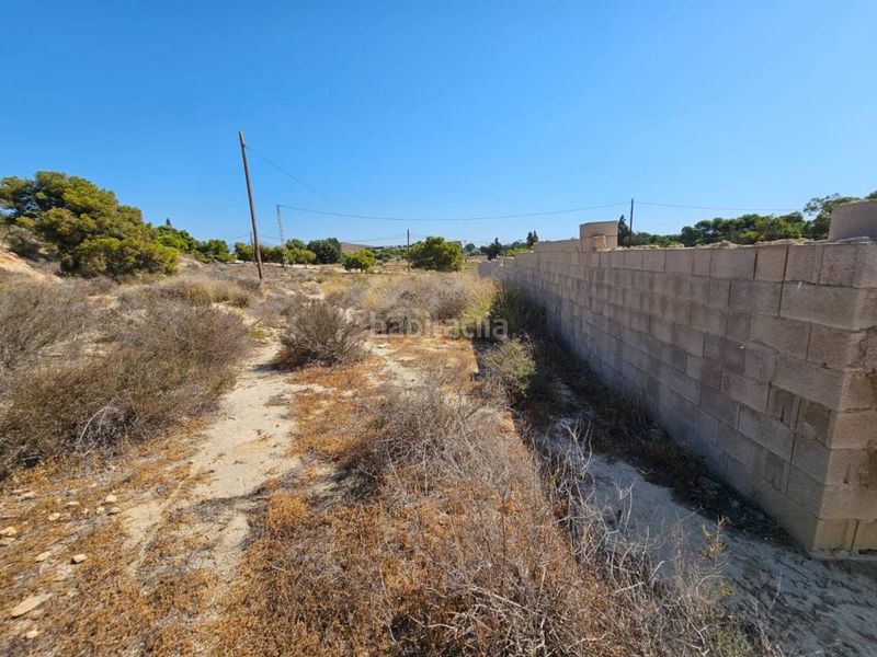 Foto cba25da8-5d80-42e8-8a45-8b710d56a78e. Finca rústica a Santa Faz Alicante