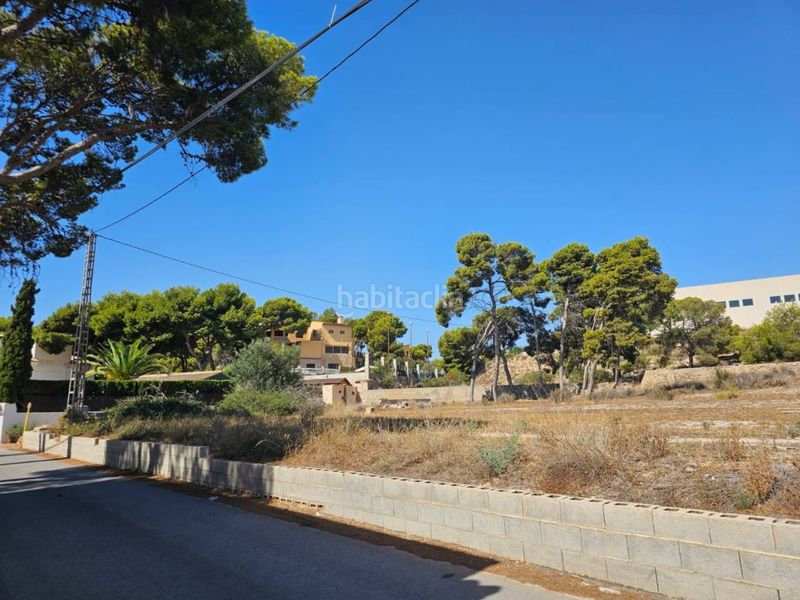 Foto d884fc2f-4eb6-4c90-b65f-6303635aabdf. Finca rústica a Santa Faz Alicante