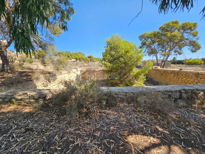 Foto d966bb17-85b3-451e-8d56-55cca5dc21d8. Finca rústica a Santa Faz Alicante
