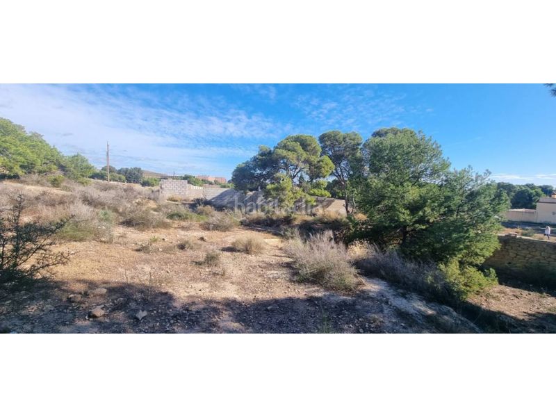 Foto f75d3b25-a142-49e6-bc1c-3ed7dc40b122. Finca rústica a Santa Faz Alicante