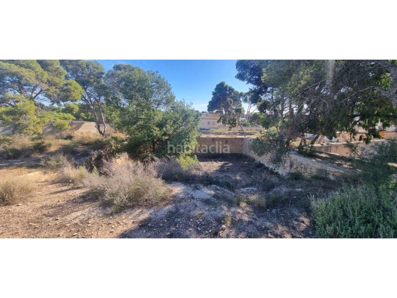 Foto f9f72b83-f548-4a6b-98a9-45ee47e69f31. Finca rústica a Santa Faz Alicante