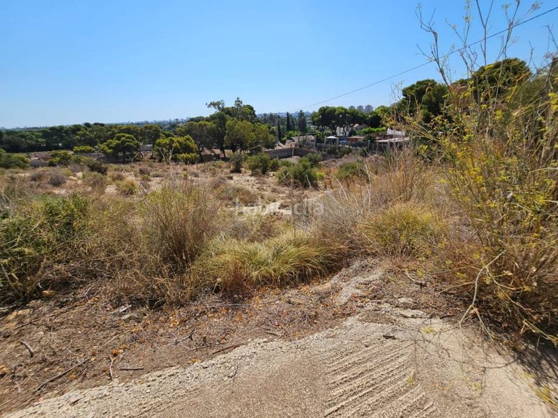 Foto fcf52382-42ed-4e28-ad02-bce540a509eb. Finca rústica a Santa Faz Alicante