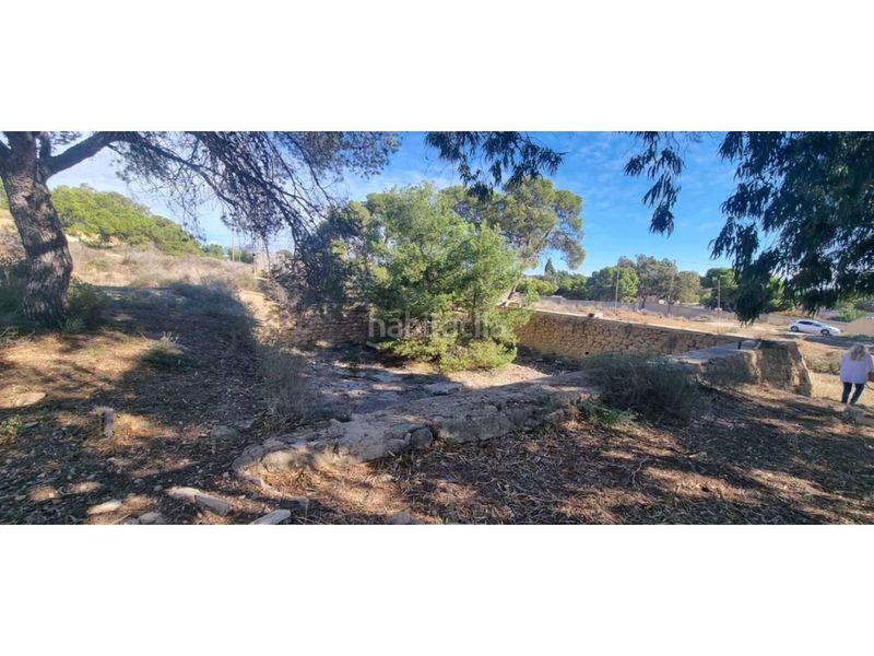 Foto fe6e23fd-a0c7-48a2-97bd-2af10a6eac84. Finca rústica a Santa Faz Alicante