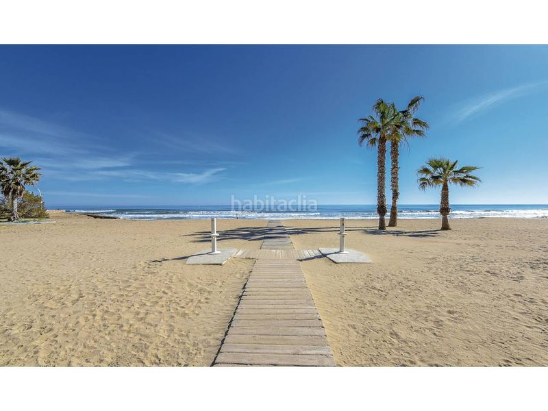 Foto bb945187-ab56-4fc1-b3d3-d7faea40b61c. Pis a Torreblanca Torrevieja