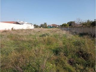 Residential Plot in La Jara