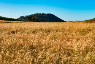 Finca rústica en Camino las lagunetas 1. Preciosa parcela rústica en suelo natural de alto valor ecológic