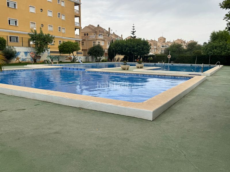 Foto 1bd2900b-8151-4bbf-afbf-780cf3adf871. Pis a calle helena 2a a Torreblanca Torrevieja