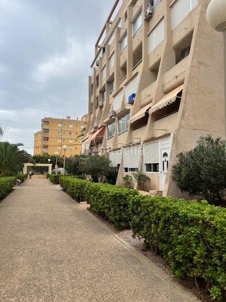Foto 5aff613b-619a-4917-b7e0-edbfe5906527. Pis a calle helena 2a a Torreblanca Torrevieja