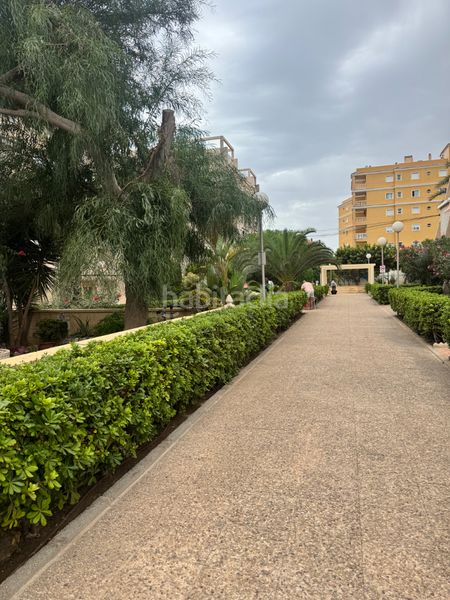 Foto 5cd38c8c-2aa3-4e1c-9fd0-39d28fedd4a7. Pis a calle helena 2a a Torreblanca Torrevieja