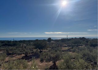 Mas�a en L�Ametlla de Mar. Ametlla de mar  finca rustica con vivienda vistas al mar en vent
