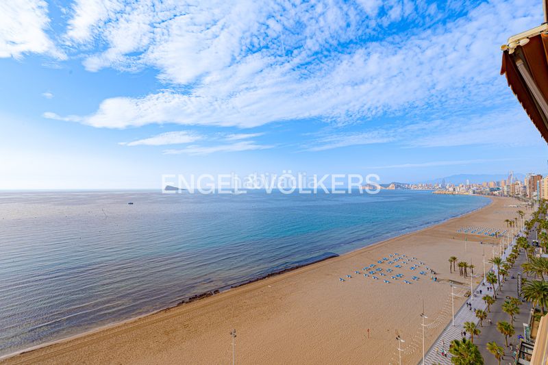 Foto 7b5a826c-17d4-4e32-a57a-53bf2912d8b3. Apartament a Playa Levante Benidorm