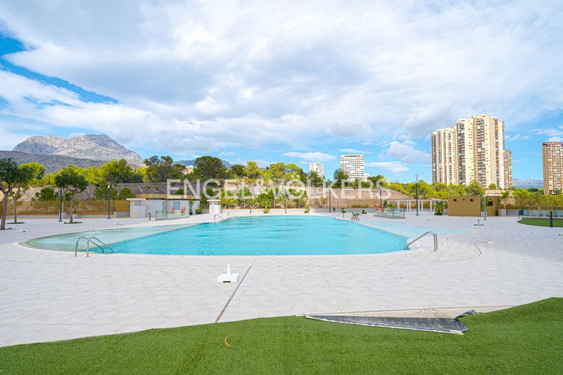 Foto 783f6cf4-5b6e-45a4-97d0-d2a9cbd21097. Apartament amb piscina a Playa Poniente Benidorm