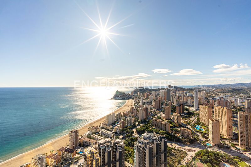 Foto 41c12d0d-a28a-4139-9a2e-ad1fb6fa946c. Apartament amb piscina a Playa Poniente Benidorm