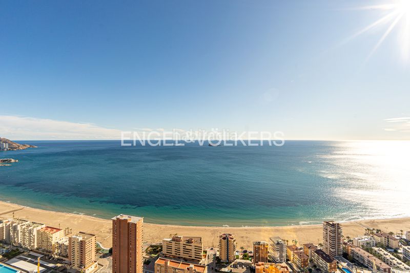 Foto 4f4bd6c3-c64a-42ce-abb2-6532569b501d. Apartament amb piscina a Playa Poniente Benidorm