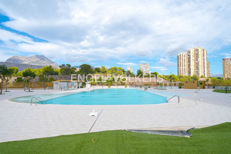 Foto 548ea865-059a-4d9b-b67f-8fe5e33ea574. Apartament amb piscina a Playa Poniente Benidorm