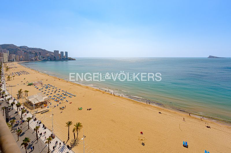 Foto d12a49ab-d72a-4b70-a0d7-014745eca177. Apartament a Playa Levante Benidorm