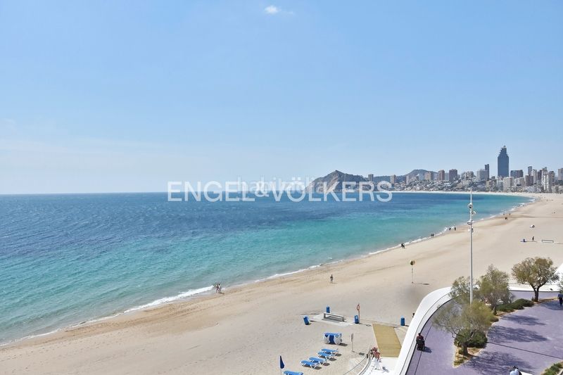 Foto 956020a5-a827-4aee-970b-504240214444. Apartament amb piscina a Playa Poniente Benidorm