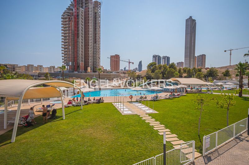 Foto 59a2da8b-77ae-4ff3-8a57-54825299a098. Apartament amb piscina a Playa Poniente Benidorm