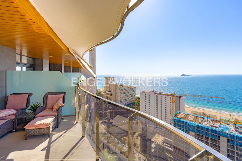 Foto d12d54b6-dc46-424c-bb57-d57e31dd3f96. Apartament amb piscina a Playa Poniente Benidorm