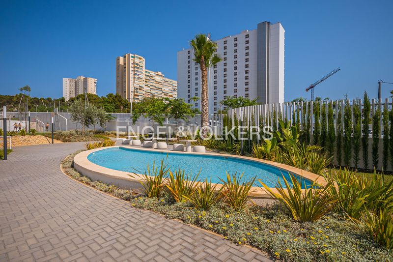 Foto 36cd934d-ea47-4a7d-a7d7-570b57bd16a9. Apartamento en Playa Poniente Benidorm