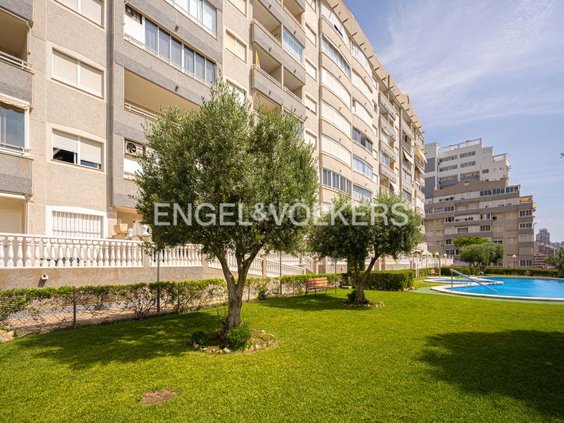 Foto c4aafd7a-7671-4d30-bde7-a2c430b243ed. Àtic amb piscina a Alitana-Casablanca Vila Joiosa (la)