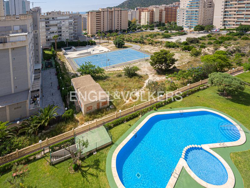 Foto c9194d04-5193-4af1-a0cd-48282d6ffcd2. Àtic amb piscina a Alitana-Casablanca Vila Joiosa (la)