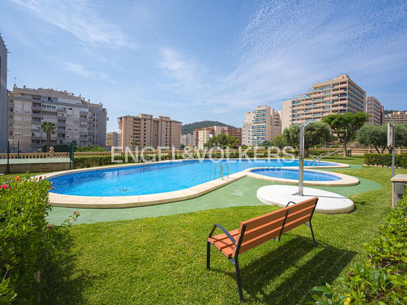Foto d00765ed-bd7d-4f12-a5a9-caaadb33420f. Àtic amb piscina a Alitana-Casablanca Vila Joiosa (la)