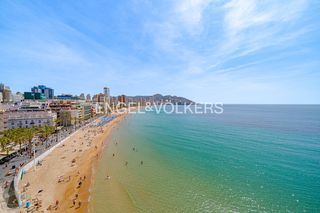 Pis a Carrer Metge en Cosme Bayona 4