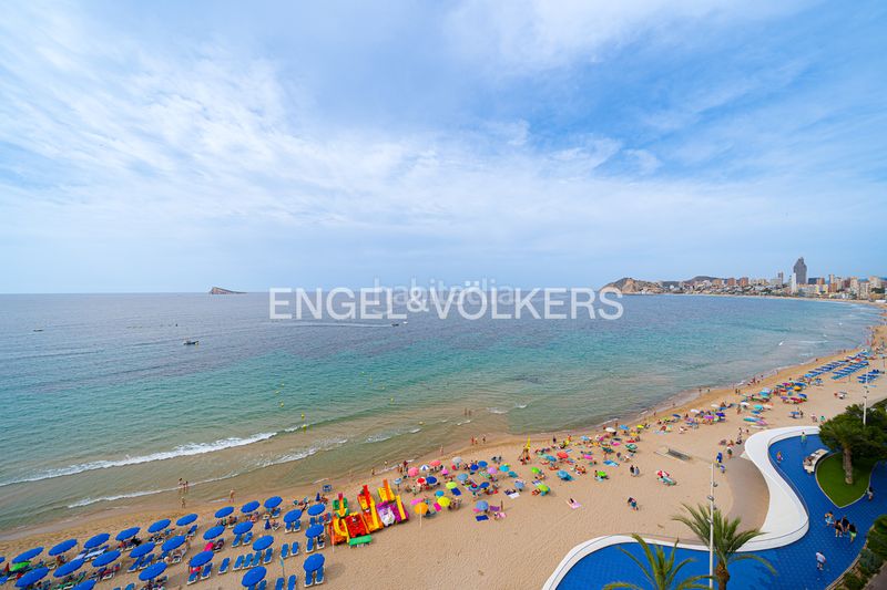 Foto 5bdb36ef-e072-41c7-817c-93d2887a5ad3. Lloguer pis a avenida de la armada española 5 a Playa Poniente Benidorm