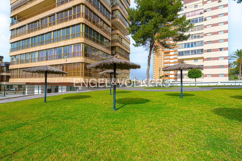 Foto 7c0acd20-04ed-44cf-a322-88f8d7f635ae. Lloguer pis a avenida de la armada española 5 a Playa Poniente Benidorm