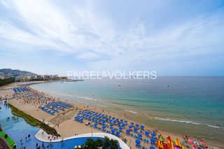Rent Flat  Avenida de la armada española 5. Apartamento de dos dormitorios en primera línea de mar en playa